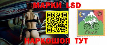 спиды Кингисепп