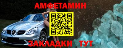 спиды Кингисепп