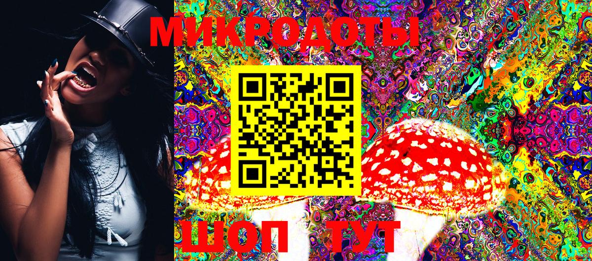 Псилоцибиновые грибы Cubensis Кирово-Чепецк